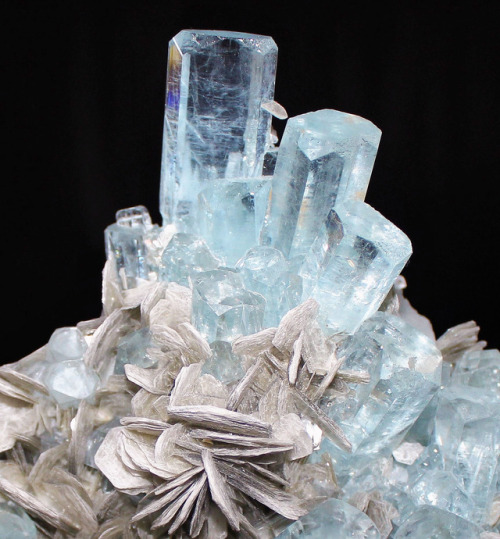 Porn photo bijoux-et-mineraux:Aquamarine and Muscovite