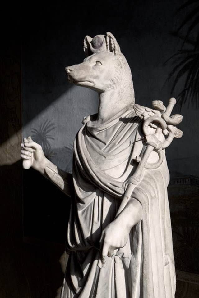 les-lunettes-du-lion:
“ Marble statue of the jackal-headed god Anubis (Hermanubis), associated with mummification and the afterlife, holding the Caduceus of Hermes in his left hand, dating from the 2nd century. Now in the Vatican Museums and...