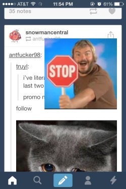 bunyuu:  the tumblr mobile app giltched and it keeps putting this picture of jack black holding a stop sign over people’s posts at random and it’s really rude