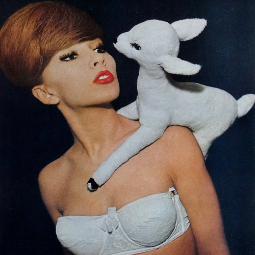 vixenvanalafleur: Dany Saval, 1961