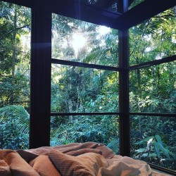 la-scorpiana:  utwo:  A couples-only rainforest getaway perfect for honeymoons and romantic escapes. © crystalcreek rainforest retreat  This is perfect for being alone omg