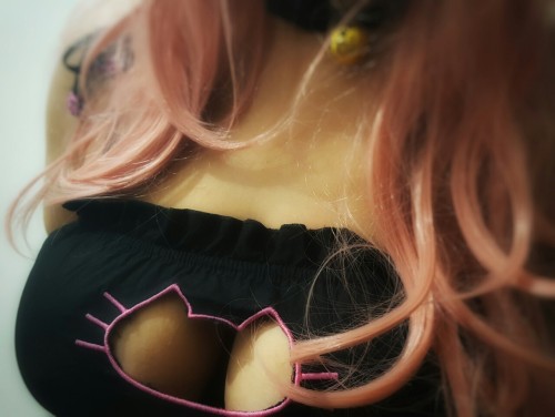 Meow =^.^=Shy