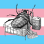 cathoderayqueen