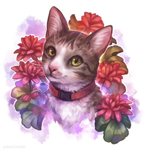 Gift art of my cousin’s cat Caco