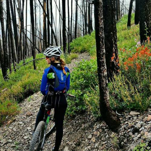 mtbwomen: @Regrann from @libbyriderepeat - From wildfires come wild flowers. There’s something philo