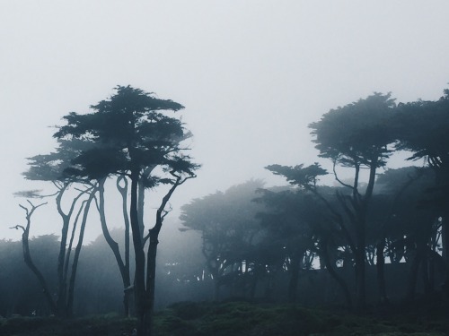 sennymau: Sutro Baths, San Francisco