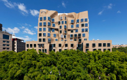 Sydney University of Technology,  Australia