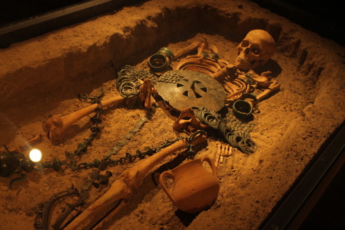 croftmanor:Prehistoric and ancient exhibitions in the Archaeological Museum of Macedonia in Skopje, 