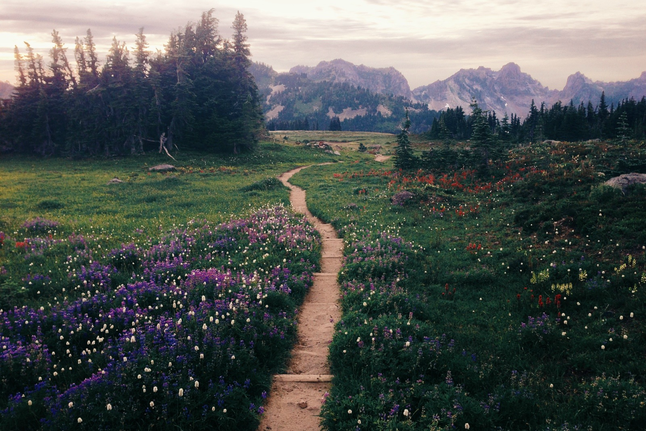 expressions-of-nature:  Land of Oz by Jeff Marsh 