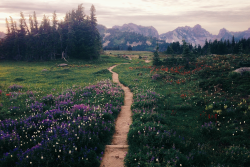 expressions-of-nature:  Land of Oz by Jeff Marsh