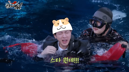 How Come The Hamster Cap Appeared Every Time Seokjin Fell Into Water (but This Only Happened To Seokjin)