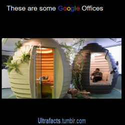 tankasaurus:   lambs-spooks:  pizzaismylifepizzaisking:  ultrafacts:  Source For more facts, Follow Ultrafacts  Who wouldn’t want to work at Google? The whole HQ looks like an amusement park with FREE food 24/7 &amp; if an employee of Google dies,