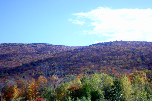 twilightsolo-photography: Autumn on the MountainWhite Mountains by Lincoln, NH ©twilightsolo-ph