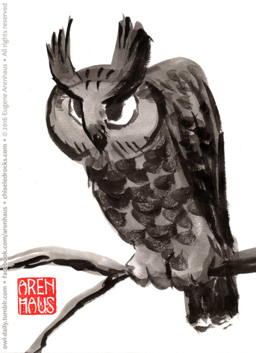  №488: Hunched owl. 