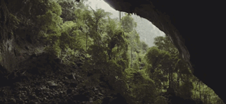https://64.media.tumblr.com/8725a74ac7c199084b1fc65fd16d9d73/d86dcf9a3229a7b2-35/s400x600/2359d5425def4e8acb142eff5916660811768ef4.gifv