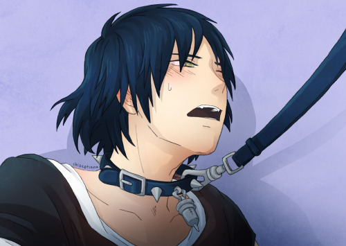 septiseph:  that collar still looks good on him 