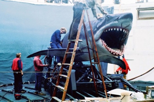 yodaprod:Tournage “Les Dents de la mer”, Steven Spielberg (1975)On the set of &ldqu