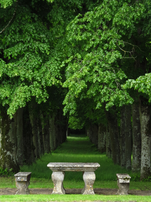 allthingseurope:  Château de Bourron, France (by Ackteon) 