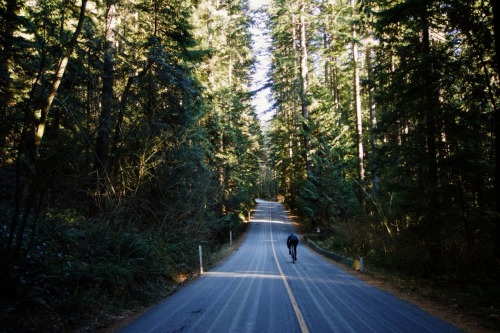 stefanfyvr:Indian River Dr. in the -5C cold. Simply beautiful.