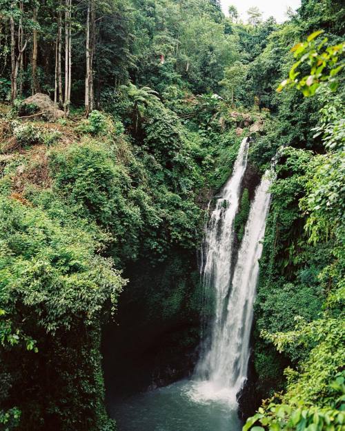 iframepeople:  The #waterfall #watcher at #alingaling in northern #bali …  #mamiya #645afd  #kodak #