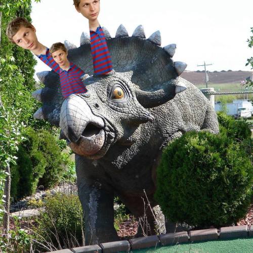 d0nn0:  Triceratops