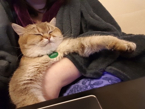 bovinecleave:this is how u choose to sit? very well