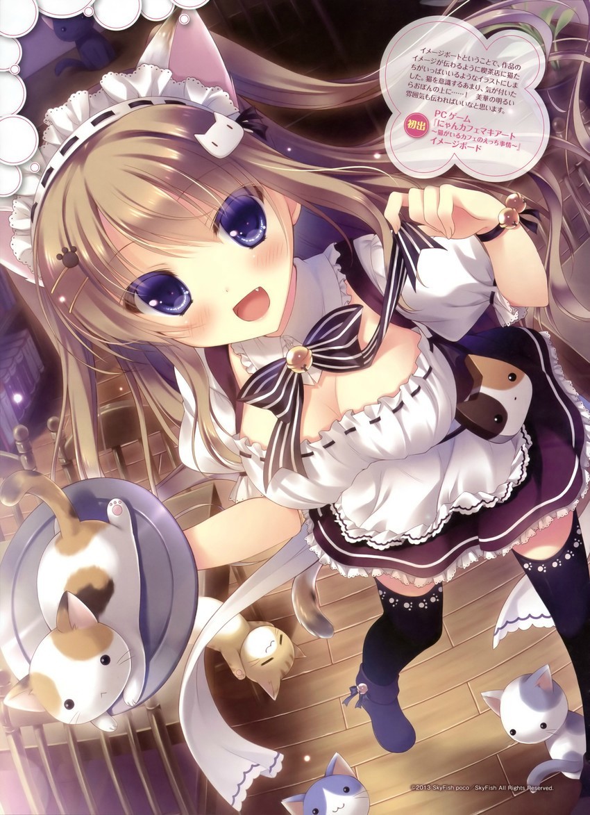 Sexy catgirls and stuff
