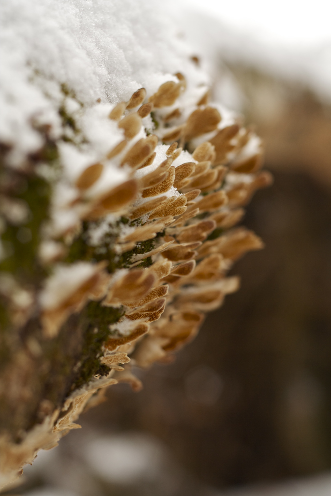 Simplicity. Love the days that we wander.  Photos by yours truly. 