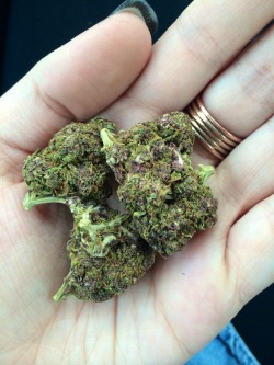 smoke-blunts-with-yaa:  More purple than green ~