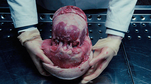 High-Rise (2015) Dir. Ben Wheatley