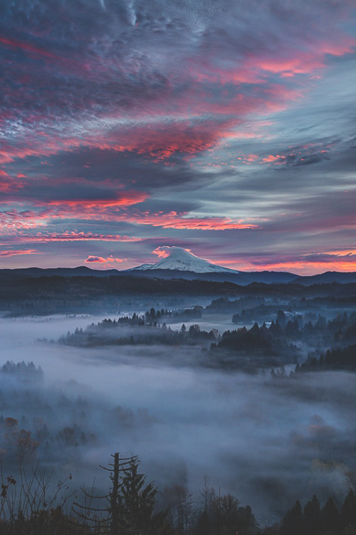 visualechoess: Sandy Valley Fog & Sunrise by: Mitch Schreiber