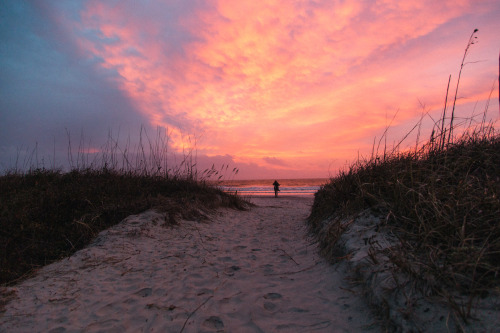 davykesey: There’s something magical about the beach in January.