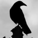 the-philosophical-crows-guild - a wise crow
