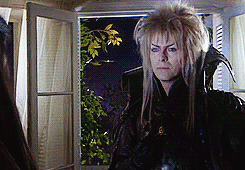 David Bowie