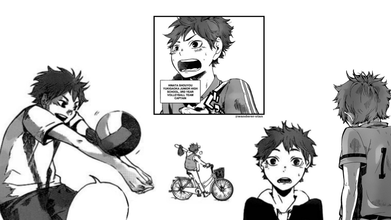 Hinata perfect receive