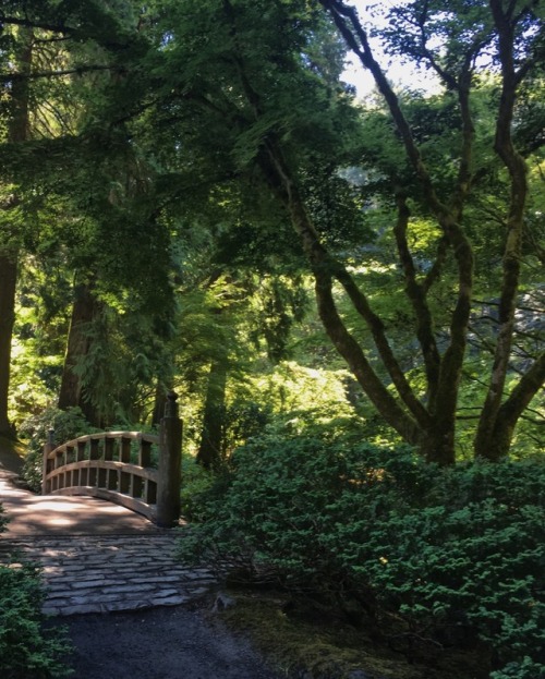 partfawn: portland japanese garden