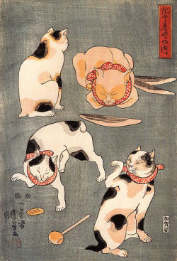 thisishowtheworldends:  Four Cats in Different Poses by Utagawa Kuniyoshi 