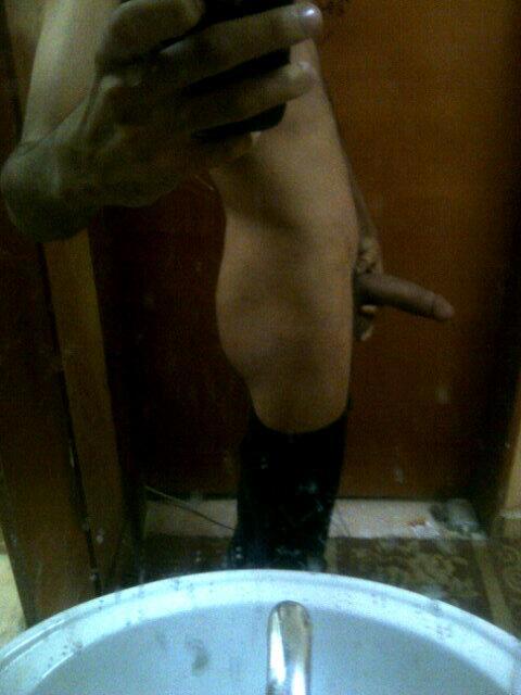 Egyptian Cock