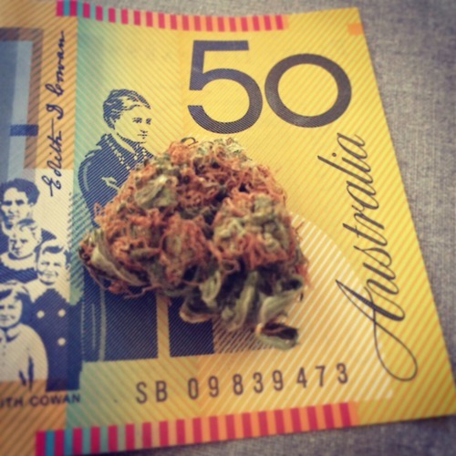 marihuanalegal:  weed-beer-videogames:  Blazin’ on those summer nights down… http://ift.tt/1kNPNTp