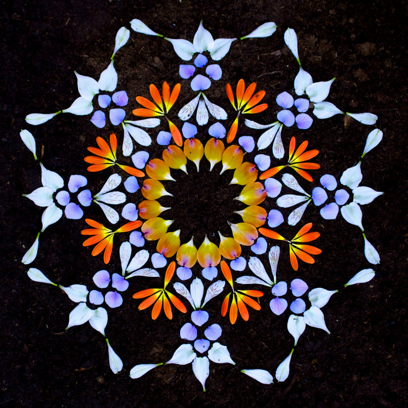 itscolossal:  New Flower Mandalas by Kathy Klein