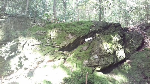 geologyedinburgh:LlanfairPG blueschist in Anglesey, Wales. The folds were wonderful. 