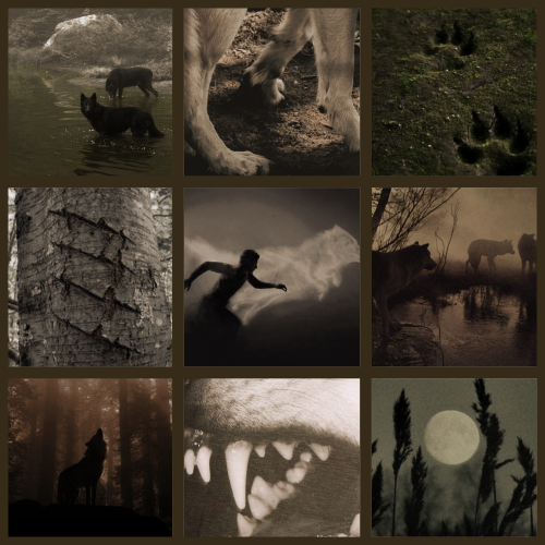Werewolf "Surprise Me!" Moodboard With No Particular Theme!