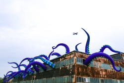 escapekit:  Sea Monsters HERE UK-based artists Filthy Luker and Pedro Estrellas have created twenty inflatable tentacles extended from the roof and several windows of a two-story warehouse in Philadelphia’s Navy Yard. The purple tentacles range from