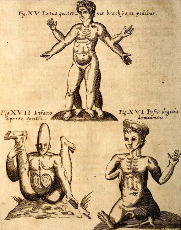 magictransistor:Gaspar Schott. Physica Curiosa, Mirabilia Naturæ et Artis. 1662. 