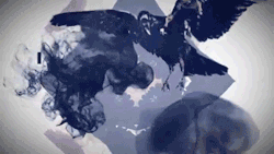 deathistheonlyfuckingmortal:  After The Burial - A Wolf Amongst Ravens