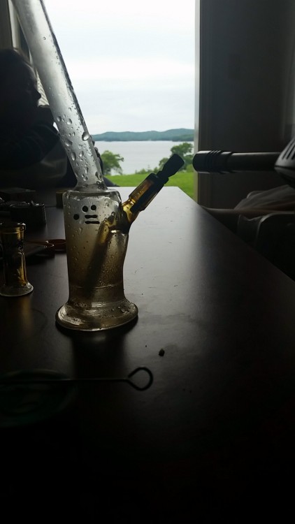 Dabbin with a view.