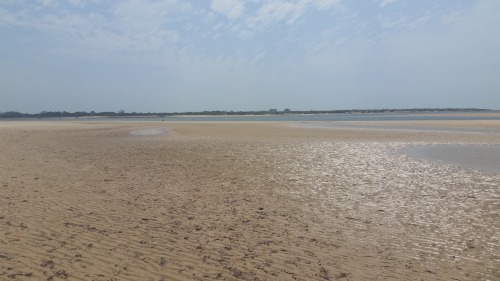  Africa.  Kenya. Lamu Island. 2019. 