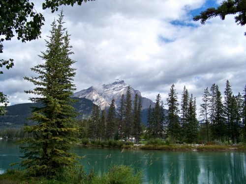 Oh the sweet memories.Horseback-riding trip in the Canadian Rockies, Alberta, Sept. 2014