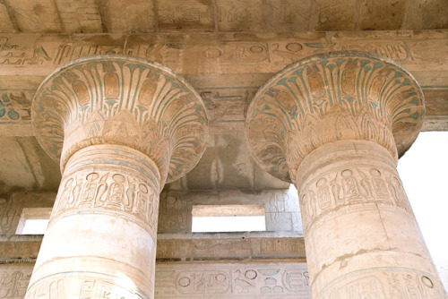 Ramesseum column capital, Egypt