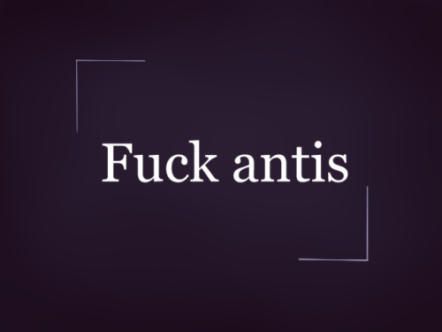 “Fuck antis”